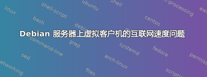 Debian 服务器上虚拟客户机的互联网速度问题