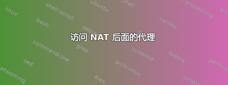 访问 NAT 后面的代理