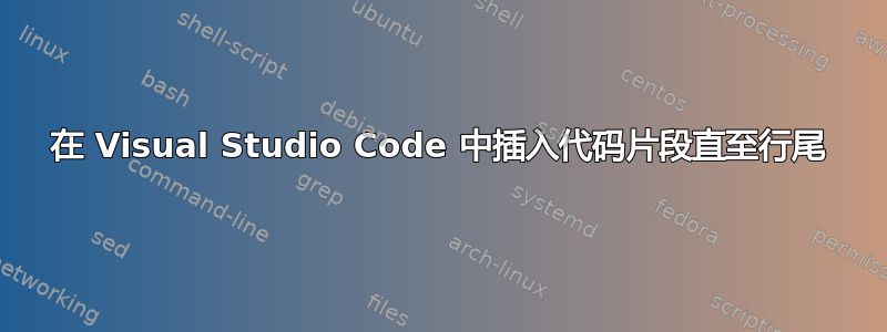 在 Visual Studio Code 中插入代码片段直至行尾