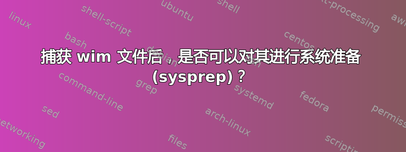 捕获 wim 文件后，是否可以对其进行系统准备 (sysprep)？
