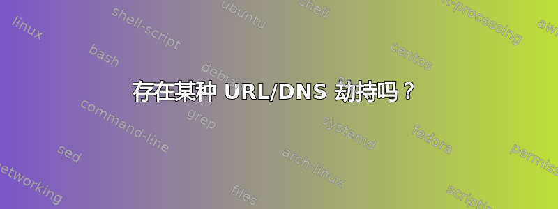 存在某种 URL/DNS 劫持吗？