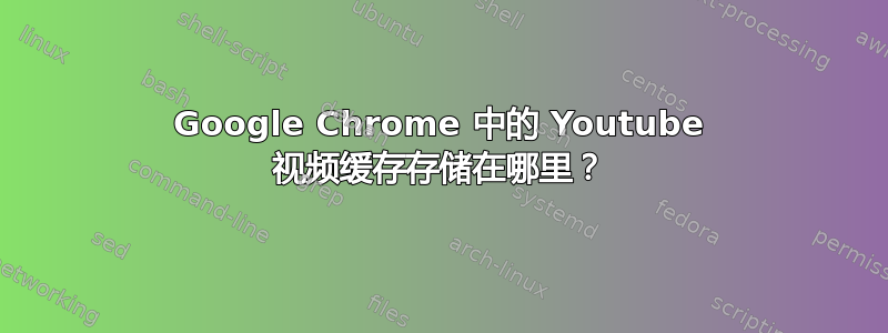 Google Chrome 中的 Youtube 视频缓存存储在哪里？