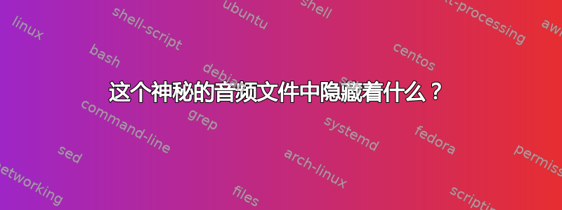 这个神秘的音频文件中隐藏着什么？