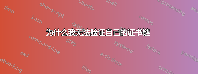 为什么我无法验证自己的证书链