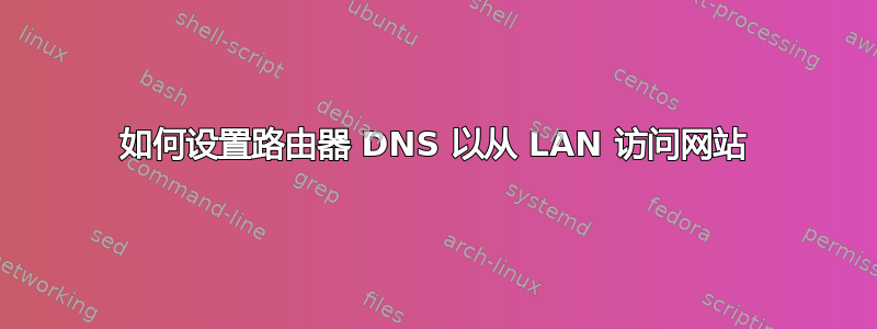 如何设置路由器 DNS 以从 LAN 访问网站