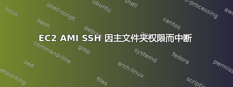 EC2 AMI SSH 因主文件夹权限而中断