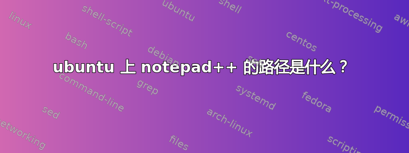 ubuntu 上 notepad++ 的路径是什么？