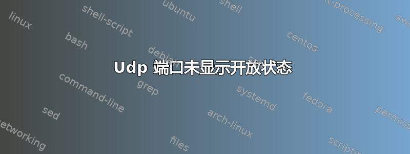 Udp 端口​​未显示开放状态