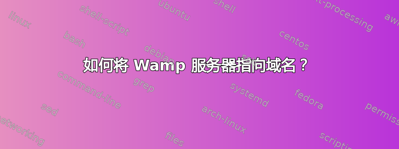 如何将 Wamp 服务器指向域名？