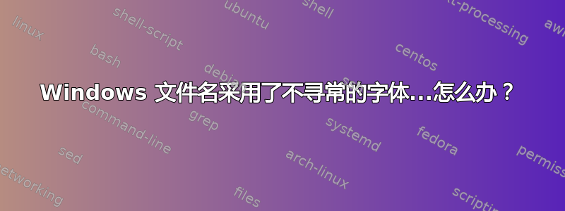 Windows 文件名采用了不寻常的字体...怎么办？