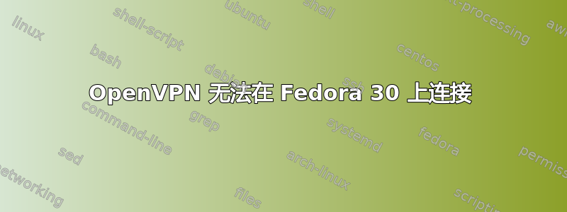 OpenVPN 无法在 Fedora 30 上连接