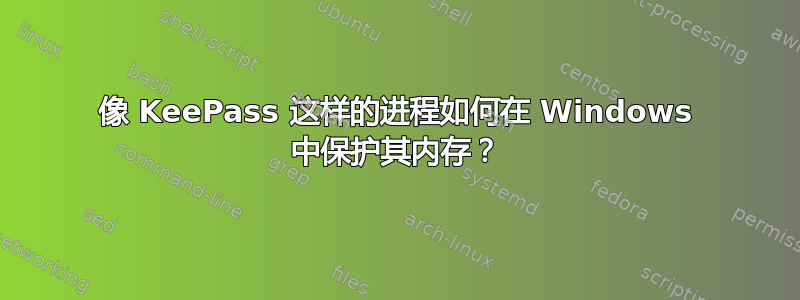 像 KeePass 这样的进程如何在 Windows 中保护其内存？