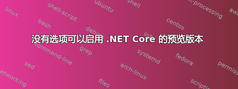 没有选项可以启用 .NET Core 的预览版本