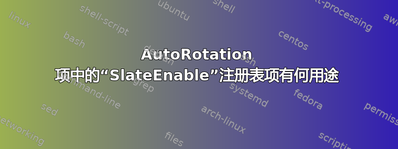 AutoRotation 项中的“SlateEnable”注册表项有何用途