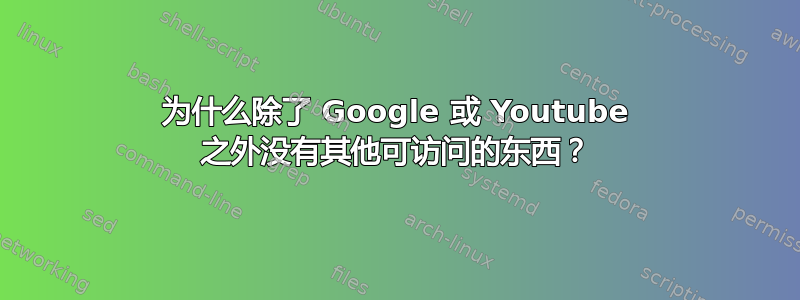 为什么除了 Google 或 Youtube 之外没有其他可访问的东西？