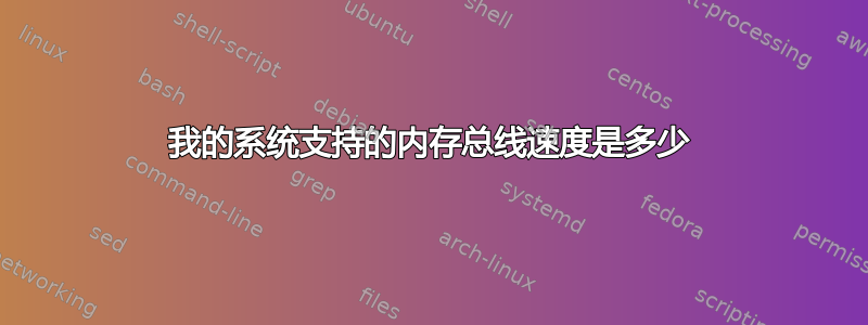 我的系统支持的内存总线速度是多少