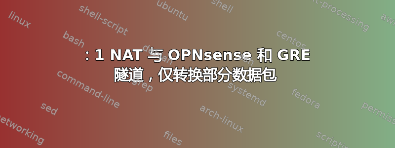 1：1 NAT 与 OPNsense 和 GRE 隧道，仅转换部分数据包