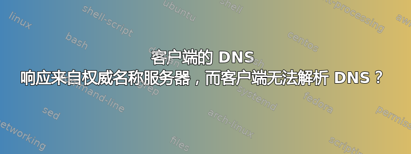 客户端的 DNS 响应来自权威名称服务器，而客户端无法解析 DNS？