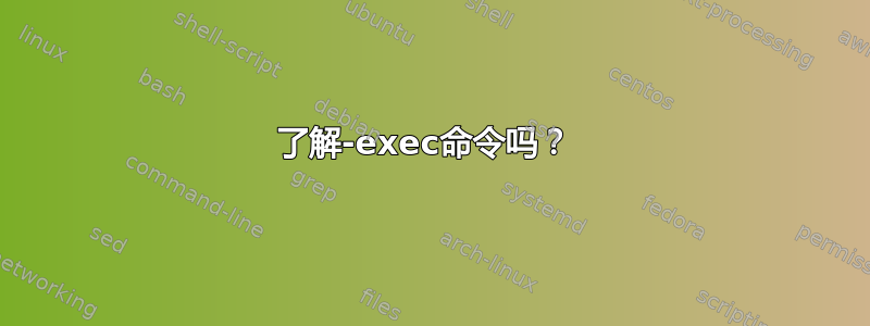 了解-exec命令吗？ 