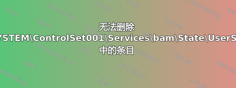 无法删除 HKLM\SYSTEM\ControlSet001\Services\bam\State\UserSettings\ 中的条目