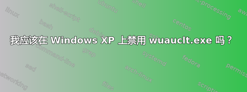 我应该在 Windows XP 上禁用 wuauclt.exe 吗？