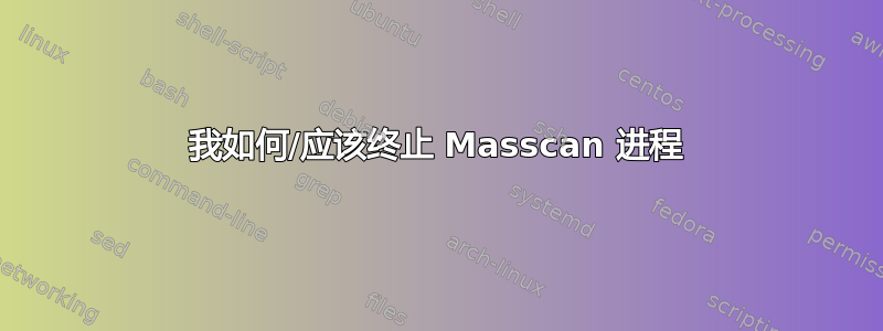 我如何/应该终止 Masscan 进程