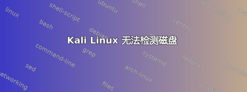 Kali Linux 无法检测磁盘