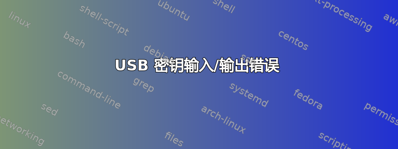 USB 密钥输入/输出错误