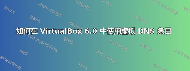 如何在 VirtualBox 6.0 中使用虚拟 DNS 条目