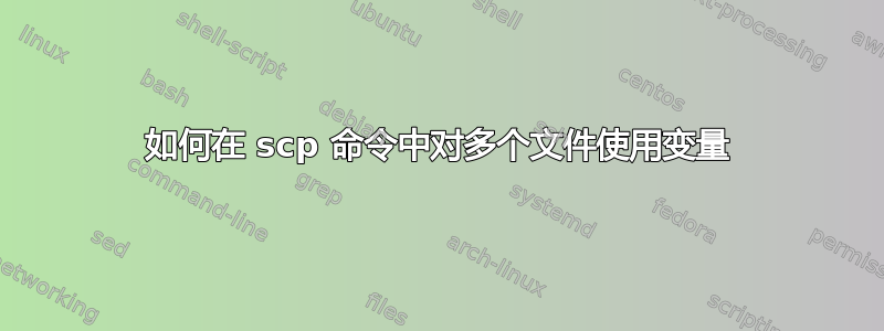 如何在 scp 命令中对多个文件使用变量