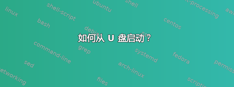 如何从 U 盘启动？