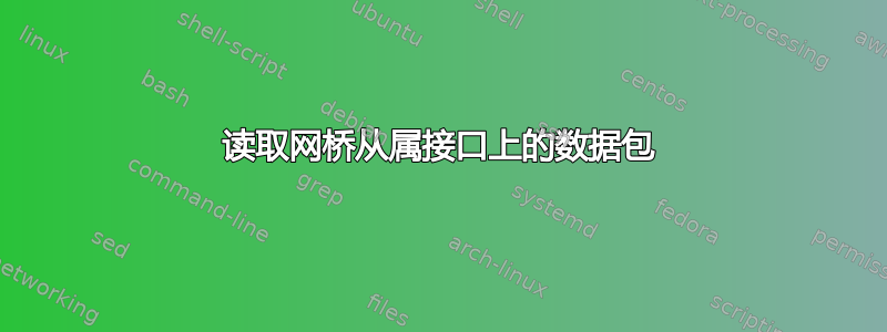 读取网桥从属接口上的数据包