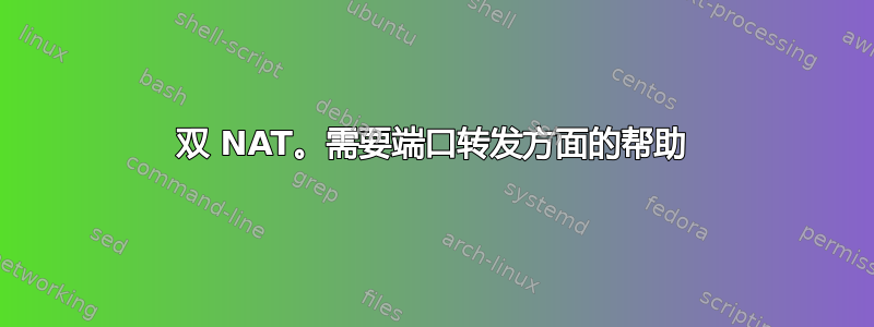 双 NAT。需要端口转发方面的帮助