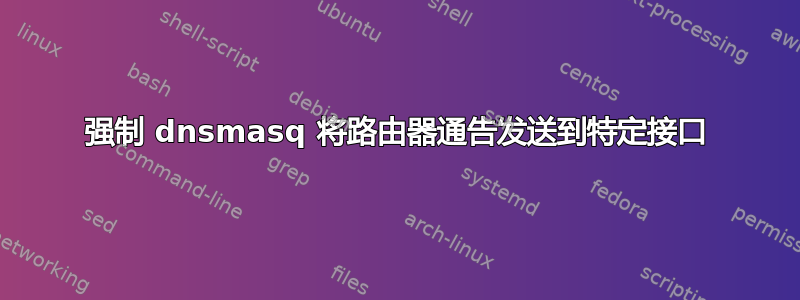 强制 dnsmasq 将路由器通告发送到特定接口