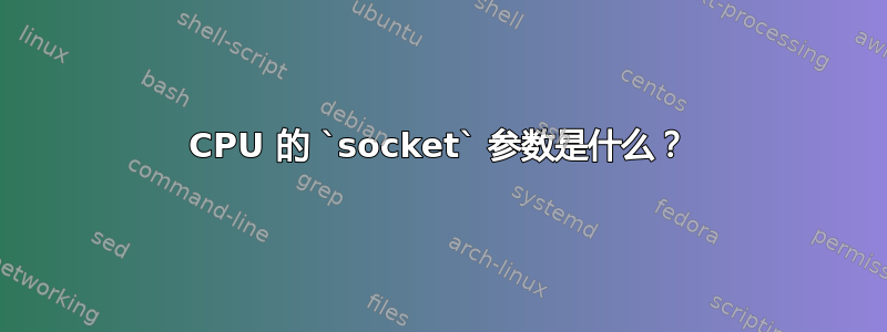 CPU 的 `socket` 参数是什么？