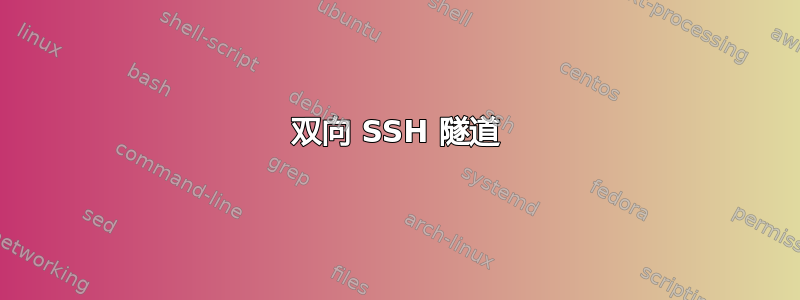 双向 SSH 隧道