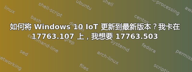 如何将 Windows 10 IoT 更新到最新版本？我卡在 17763.107 上，我想要 17763.503