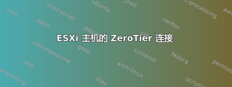 ESXi 主机的 ZeroTier 连接