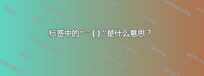 标签中的“^{}”是什么意思？