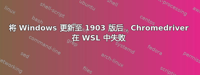 将 Windows 更新至 1903 版后，Chromedriver 在 WSL 中失败