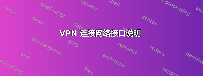 VPN 连接网络接口说明