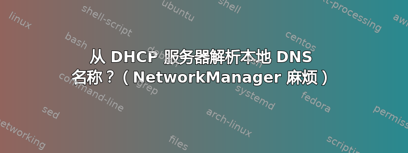 从 DHCP 服务器解析本地 DNS 名称？（NetworkManager 麻烦）
