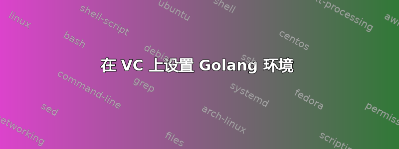 在 VC 上设置 Golang 环境