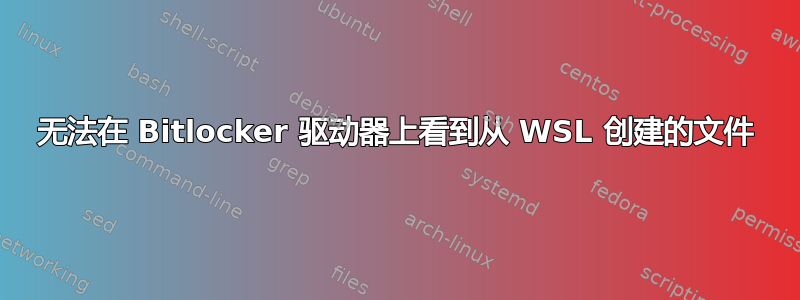 无法在 Bitlocker 驱动器上看到从 WSL 创建的文件