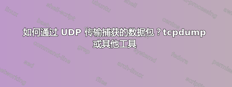 如何通过 UDP 传输捕获的数据包？tcpdump 或其他工具