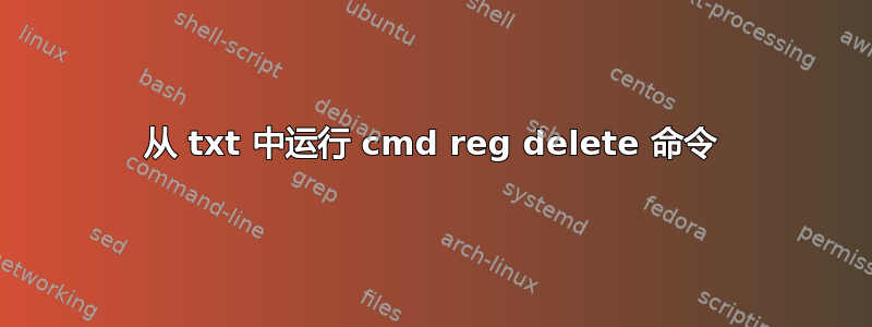 从 txt 中运行 cmd reg delete 命令