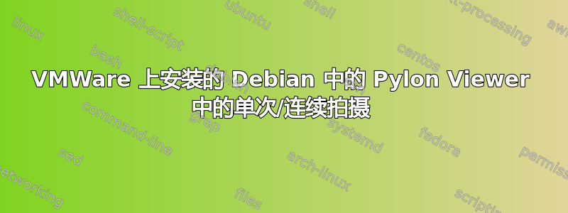 VMWare 上安装的 Debian 中的 Pylon Viewer 中的单次/连续拍摄