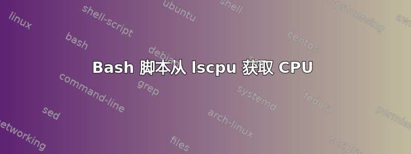 Bash 脚本从 lscpu 获取 CPU