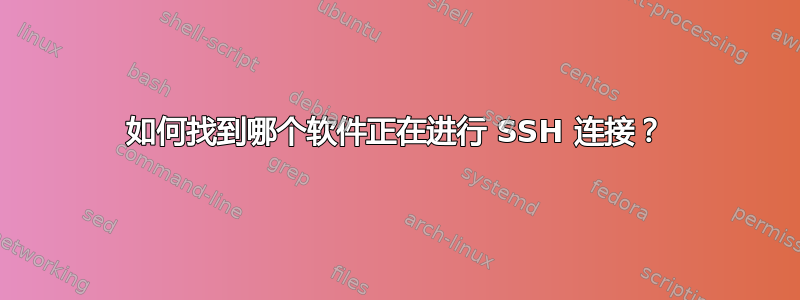 如何找到哪个软件正在进行 SSH 连接？