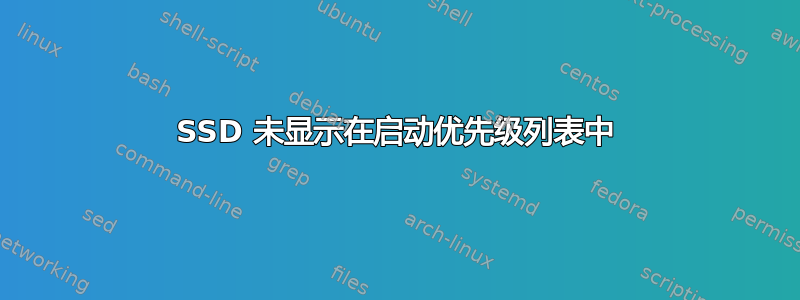 SSD 未显示在启动优先级列表中